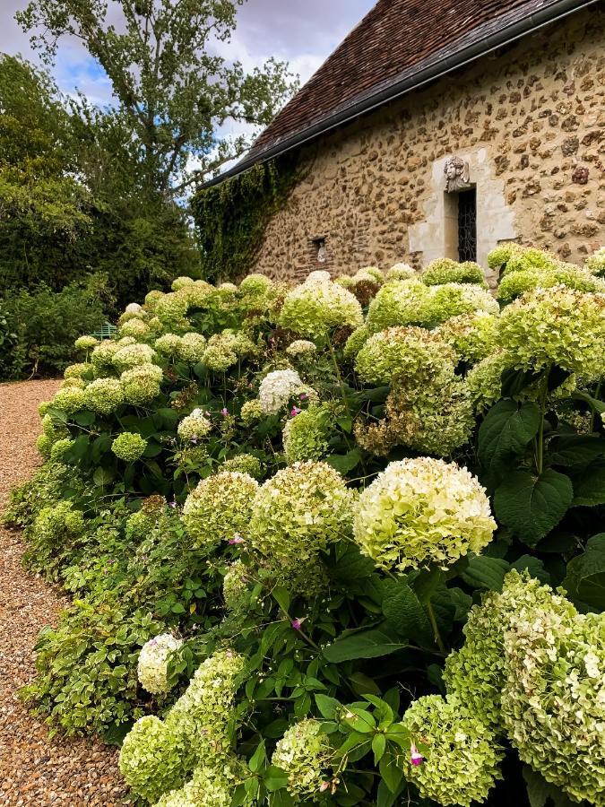 Le Manoir De Maucartier Bed & Breakfast Monnaie Exterior photo